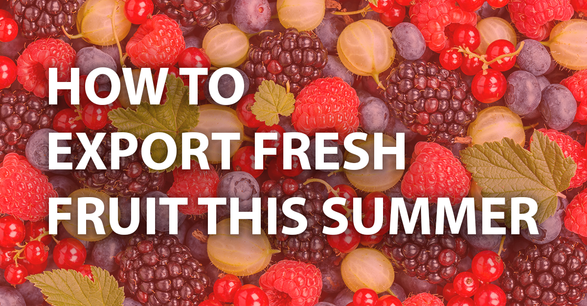 News and Insights from Able Freight